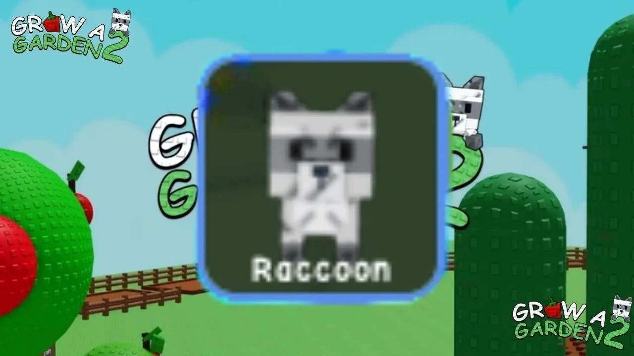 Raccoon (Super) — Account account