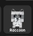 Raccoon (Super) — Account account