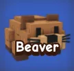 Beaver Grow A Garden