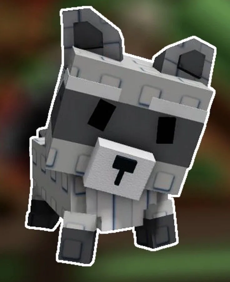 Raccoon — Account account