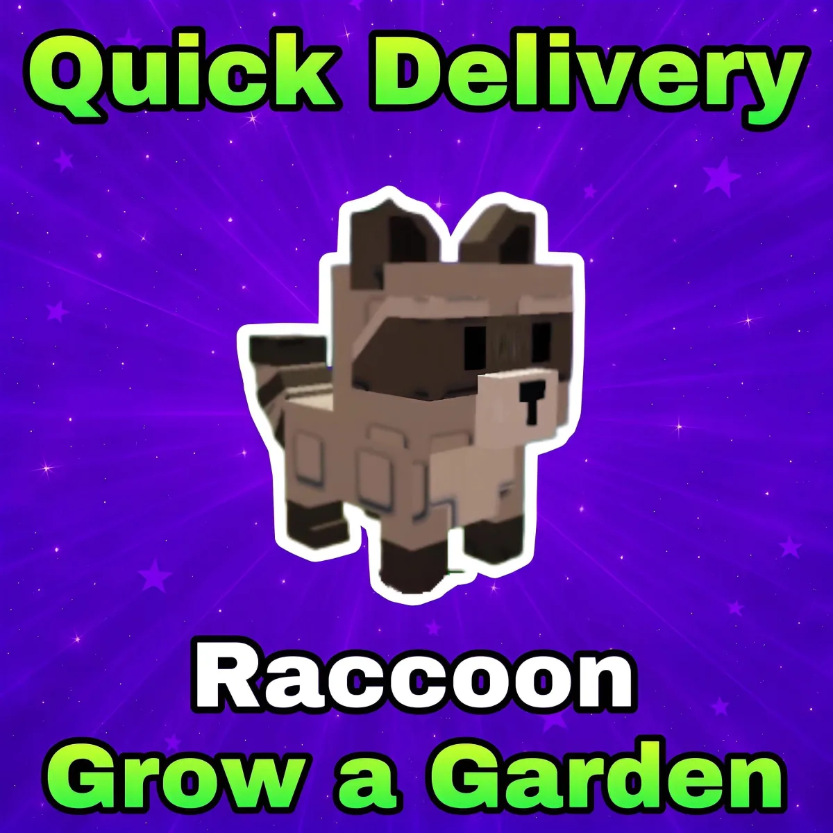 Raccoon — Account account