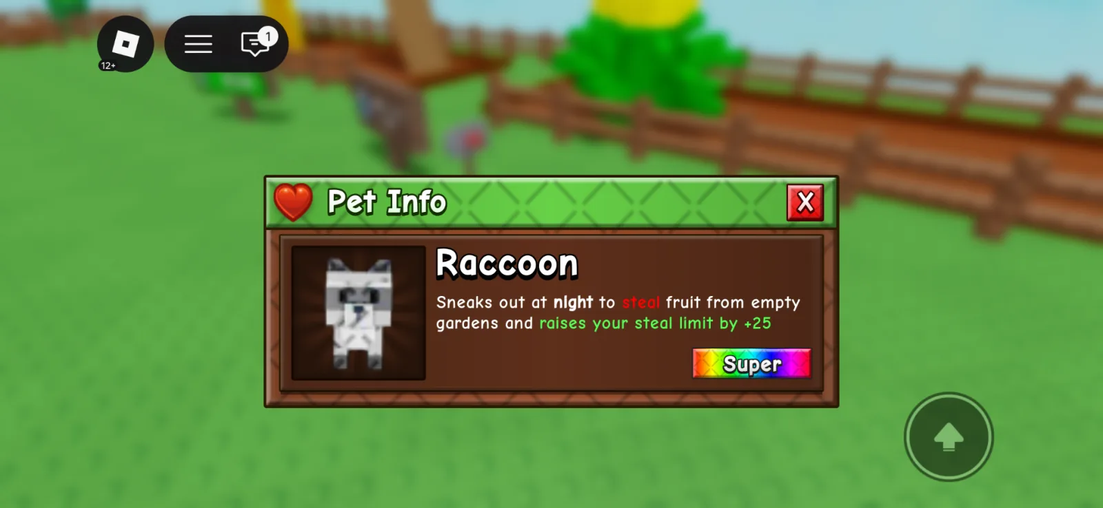 Raccoon (Super)