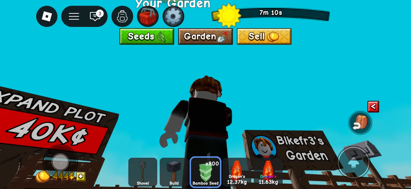 Bamboo Seed (Uncommon) — Account account