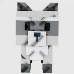 Raccoon (Super) — Account account