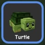 Turtle (Legendary) — Account account