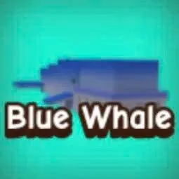 Blue Whale