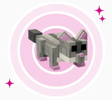 Sugar Glider Fast Delivery Safe trade — Account account