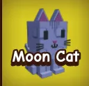Moon Cat 3X — Account account
