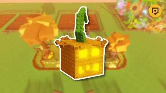 15x Atlantic Giant Pumpkin Seed
