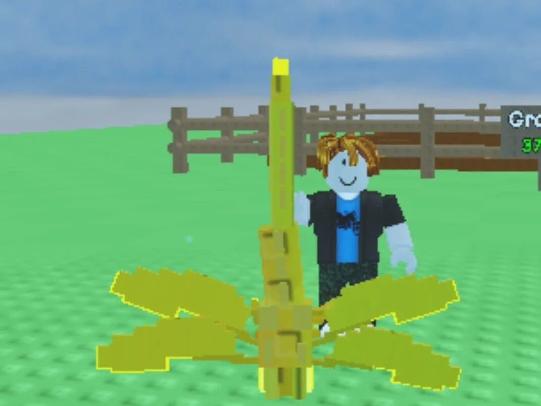 Aromatic Dragonfly — Account account