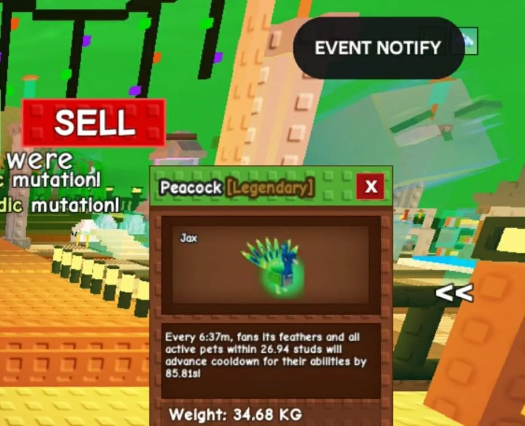 Huge Peacock 60kg+ Power Rare Collectible Instant Delivery