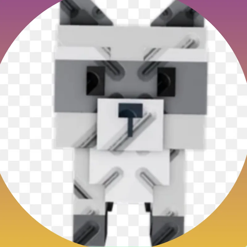 Raccoon (Super)