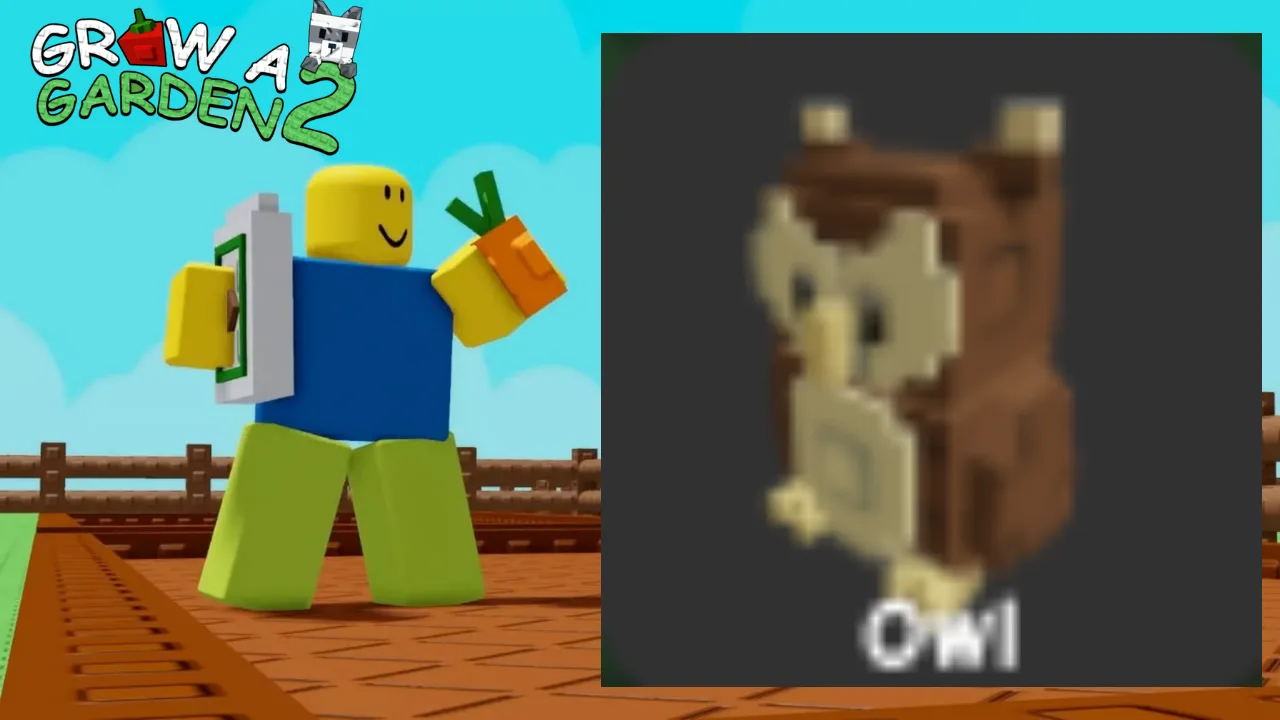 Owl (Uncommon)