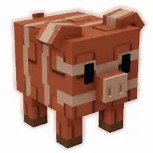 READY BLOSSOMING BACON PIG ( HUGE 60/61 KG) Grow A Garden