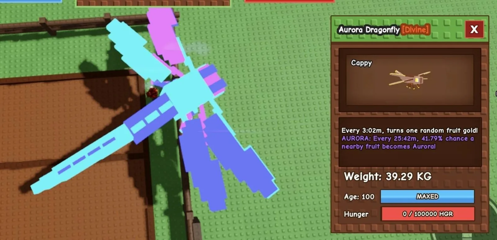 Huge AURORA Dragonfly - 39.29 KG (Age 100)