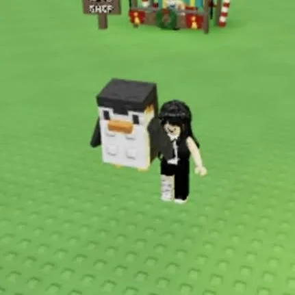 2x Penguin Clean No Bug No Dupe Instant Delivery — Account account