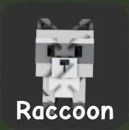 Raccoon (Super) — Account account