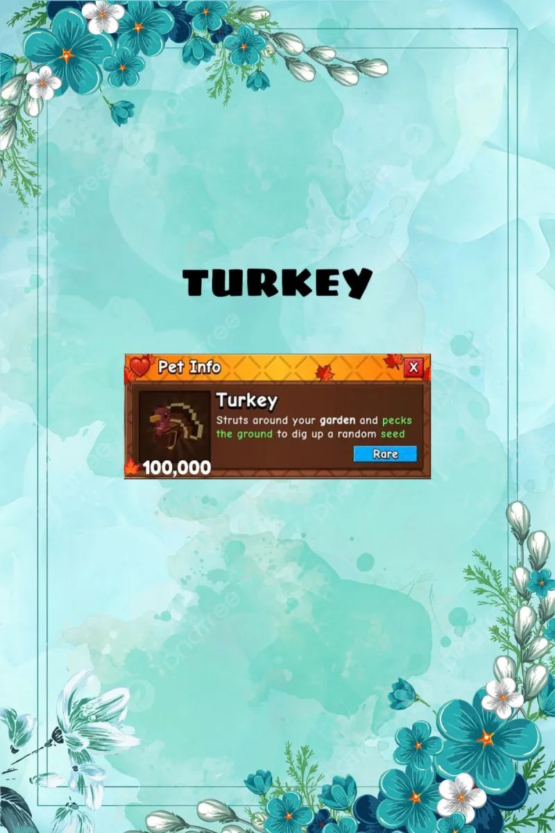 Turkey (Rare)