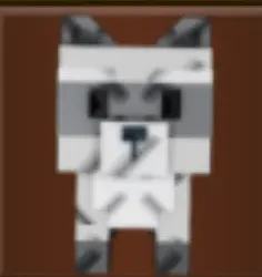 Raccoon (Super) — Account account
