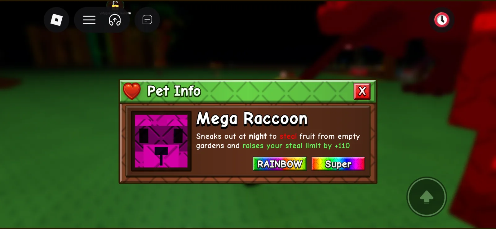 Raccoon (Super)