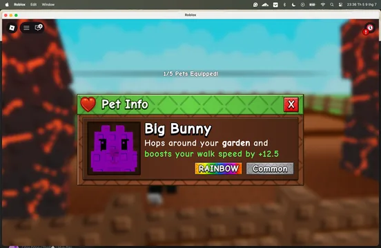 Bunny