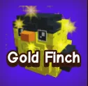 Gold Finch 3X — Account account