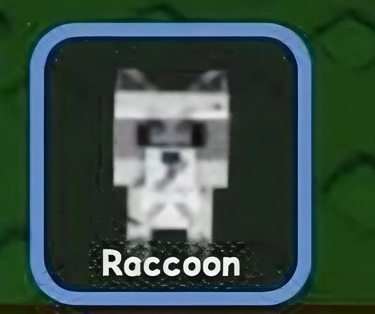 Raccoon (Super)