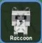 Raccoon (Super) — Account account