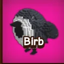 Birb — Account account
