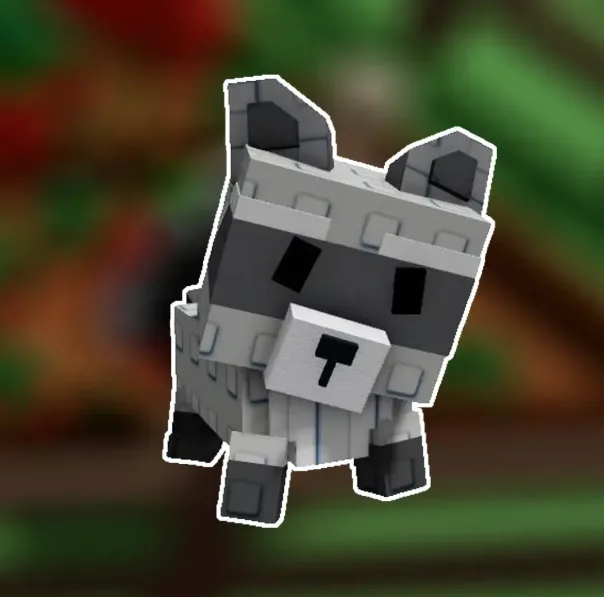 Raccoon (Super)
