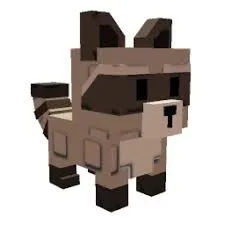 Raccoons - cheap - not duped