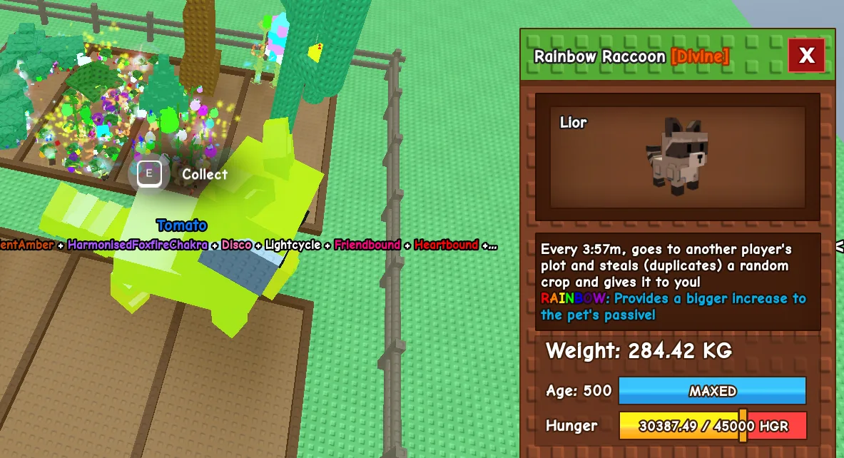 280kg+ Rainbow Raccoon Divine // super handsome // Age 500 Maxed // 3:57 Crop Duplicate Passive