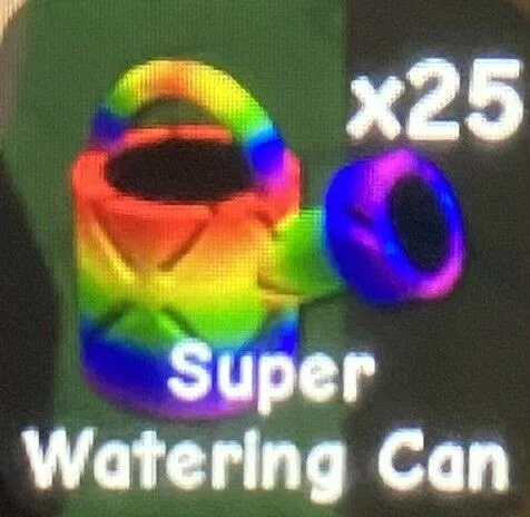 Raccoon (Super)