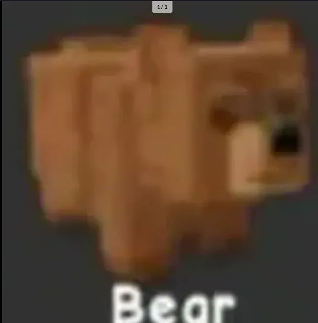 Bear