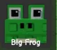 Frog (Common)