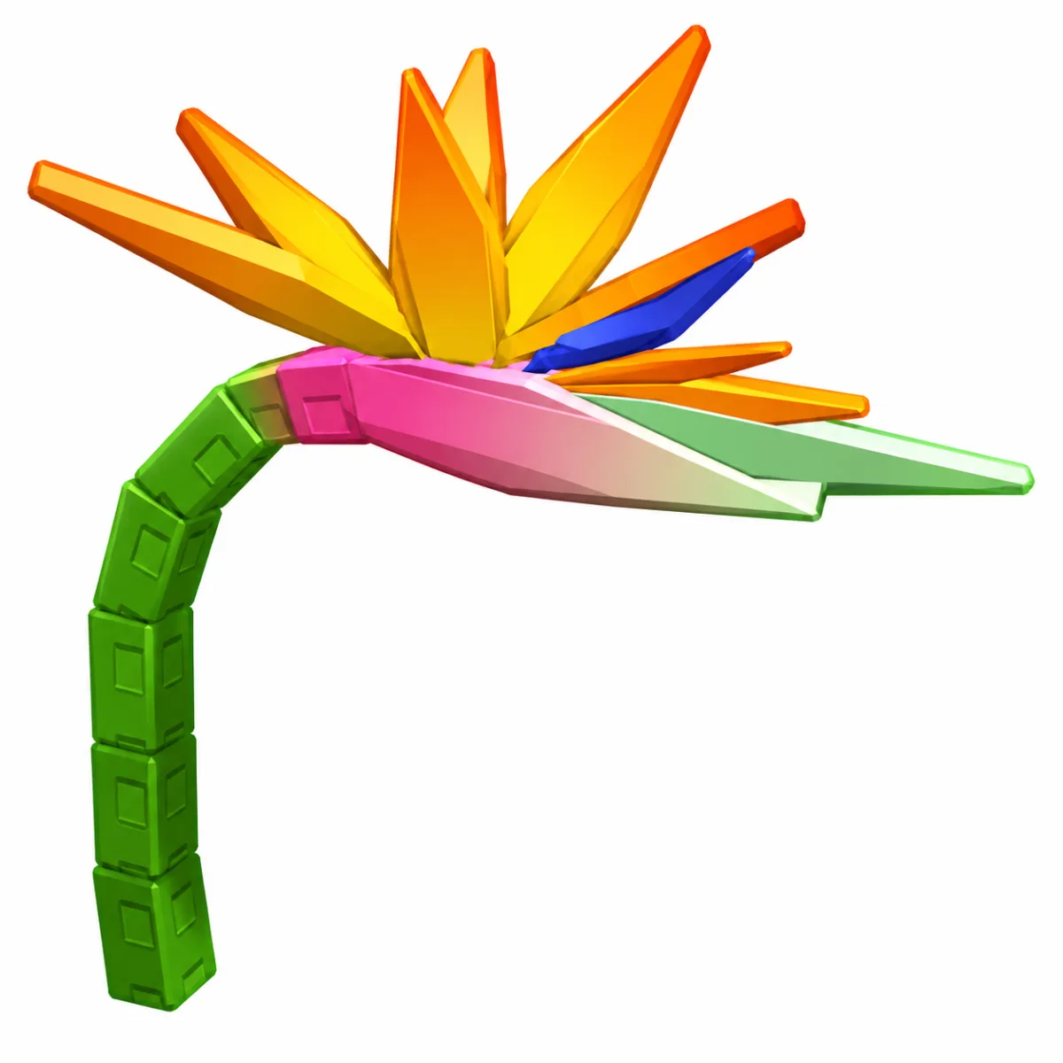 Bird of Paradise Seed Instant Delivery