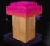 Maple Mushroom Seed