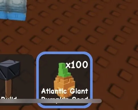 Atlantic Giant Pumpkin Seed