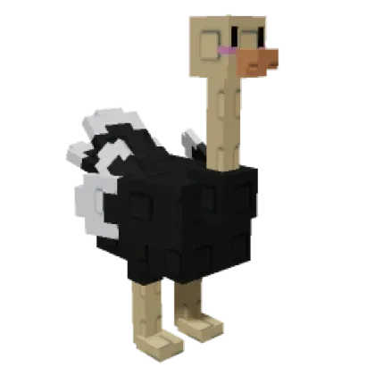 2x Ostrich