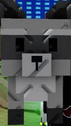 Raccoon (Super)