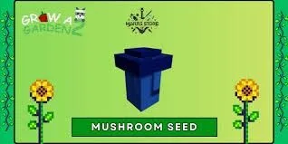 Mushroom Seed — Account account