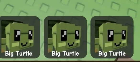 Turtle (Rare)