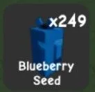 Blueberry Seed (Common)
