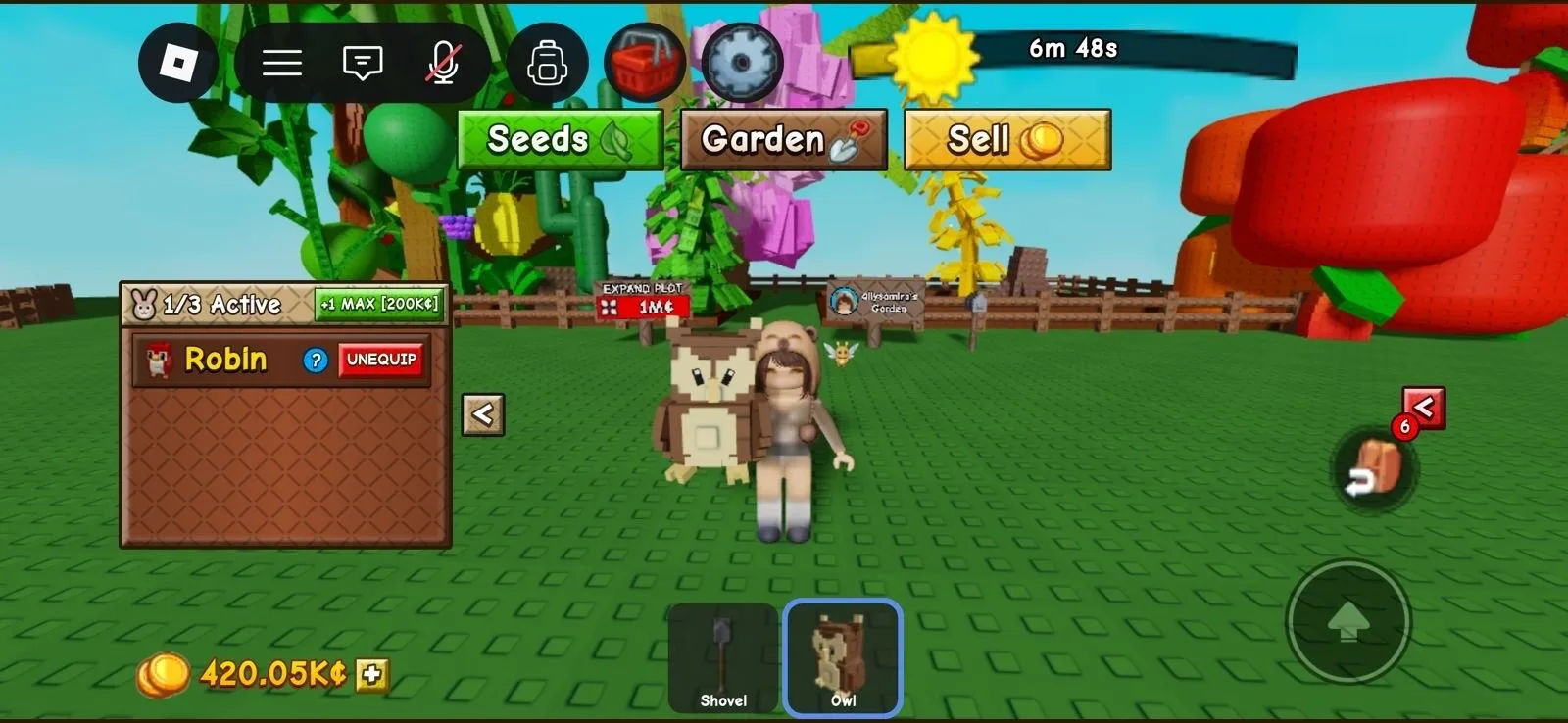 OWL PET — Account account