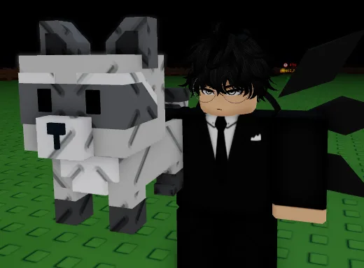 Raccoon (Super) — Account account