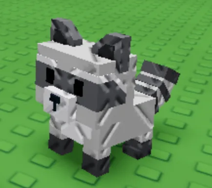 Raccoon (Super)