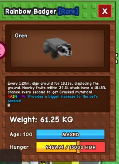 60kg+ Rainbow Badger super handsome( 60kg+ at level 100, can go to 280kg+ at level 500 max)