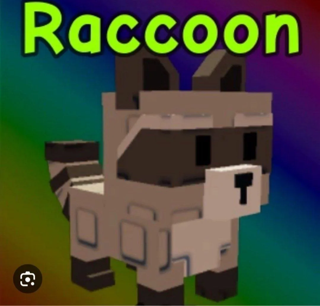 MUTATION WINDY RACCOON (EXTRA RARE PET) — Account account