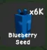 Blueberry Seed