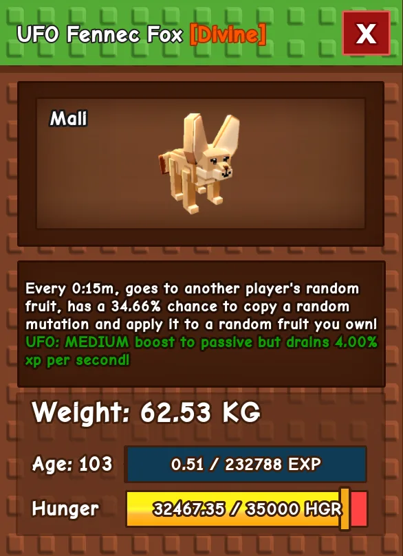 HUGE FENNEC FOX NM / VENOM / EVER 60KG-61KG AGE 100